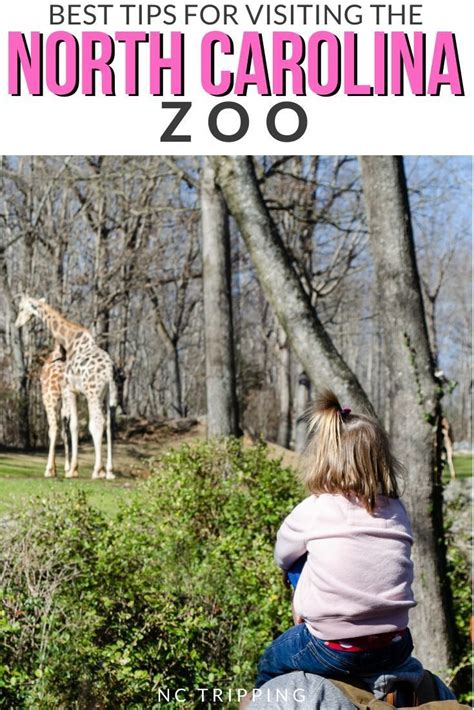 Nc Zoo In Asheboro All The Tips To Help You Enjoy The Worlds Largest