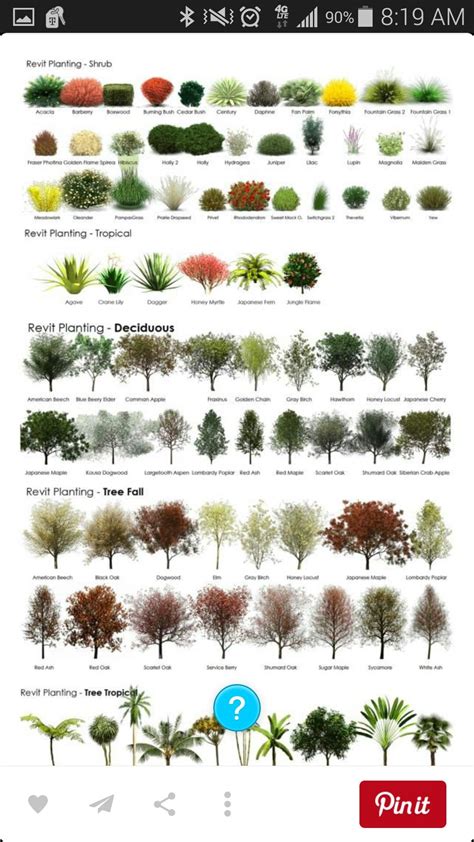 Pin By Jennifer Bedsole On Landscaping Landscaping Plants Front Yard