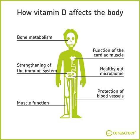 Vitamin D Deficiency Symptoms And Supplements Cerascreen