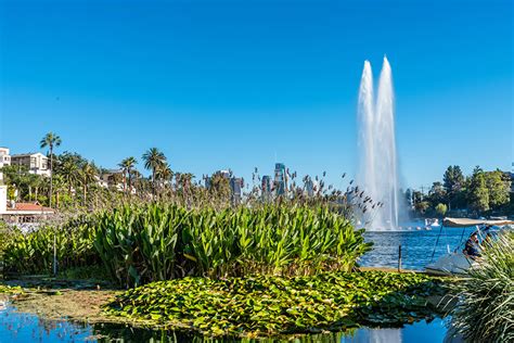 Picture California Los Angeles Usa Fountains Echo Park Lake Nature