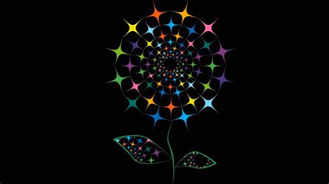 Black Background Digital Art Minimalism Flowers