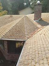 Roof Mold Treatment