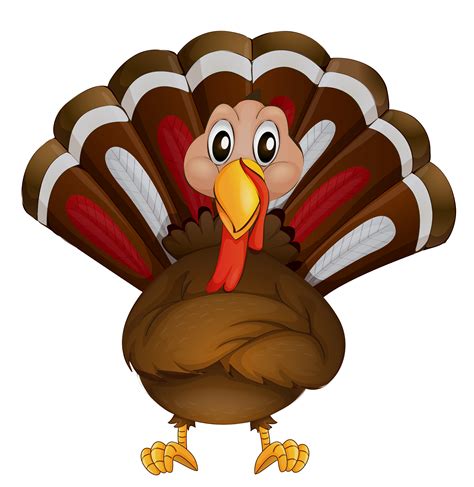Turkey Cartoon Clip Art Transparent Thanksgiving Turkey Picture Png