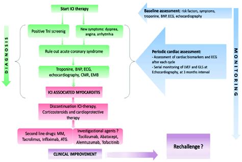 An Algorithm For The Clinician To Make Diagnosis Of Myocarditis And