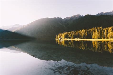 Body Of Water With Reflection Of Sky And Trees · Free Stock Photo