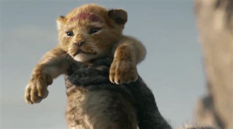 The Internet Is Shaken By This Lion King Discovery
