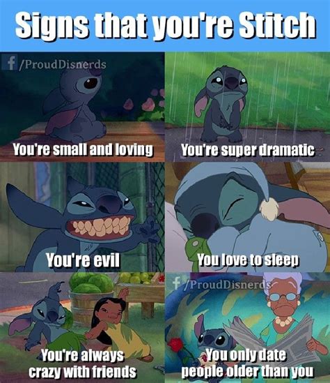 Do You Look Like Stitch Prouddisnerds Lilo And Stitch Memes Lilo