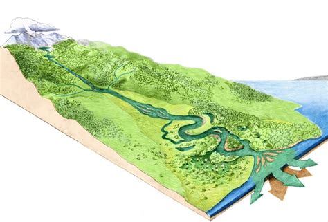 River Morphology How Does River Look Like World Rivers