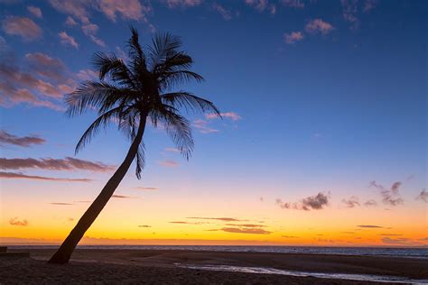 Tropical Island Sunrise Photograph By James Bo Insogna Pixels
