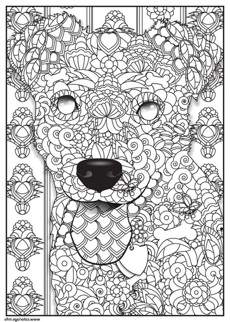 Coloriage Magique Adulte Animaux  Coloriage Magique