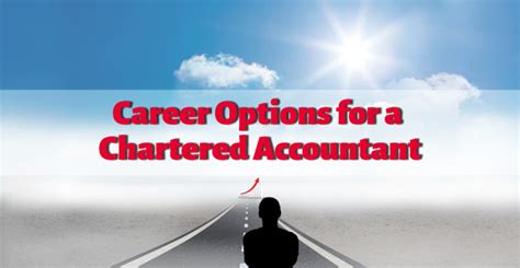 Career Options For Chartered Accountans Best Options For Ca In India