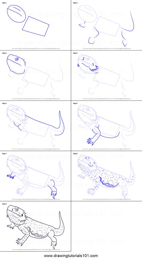 A preview of the step by step dragon tutorial. How to Draw a Bearded Dragon printable step by step ...