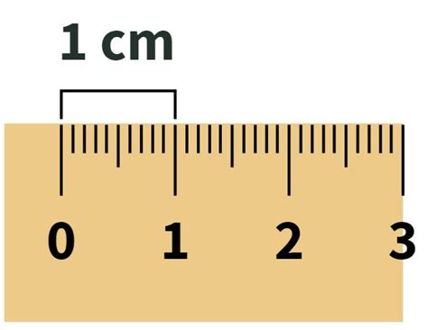 2 Cm Ruler Cheaper Than Retail Price Buy Clothing Accessories And