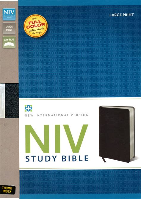 Niv Study Bible Large Print Bonded Leather Black Thumb Indexed