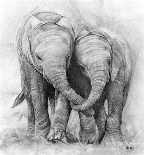 Majestic Elephants In Stunning Pencil Drawing