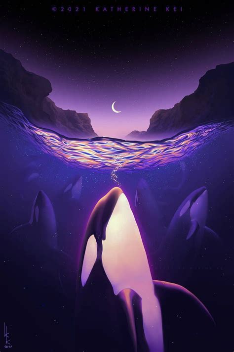 Orca Art Dolphin Art Whale Art Cute Wallpaper Backgrounds Scenery