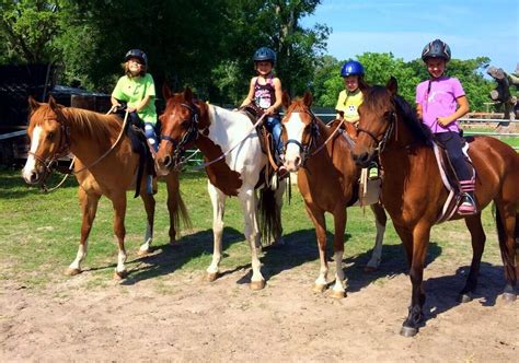 Trail Riding Experience The Joy Of Horseback Riding Cypress Breeze Farm
