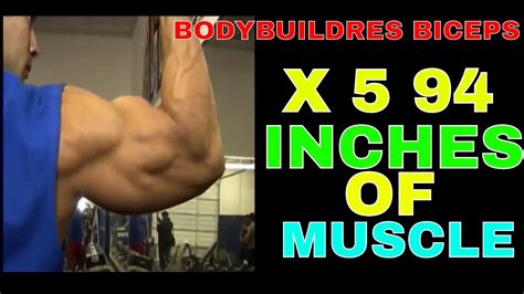bodybuilder biceps x 5 94 inches of muscle youtube