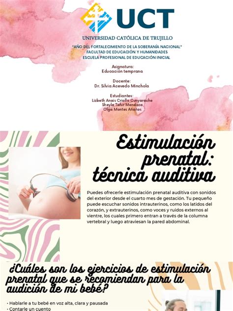 Tecnicas De Estimulacion Prenatal Pdf