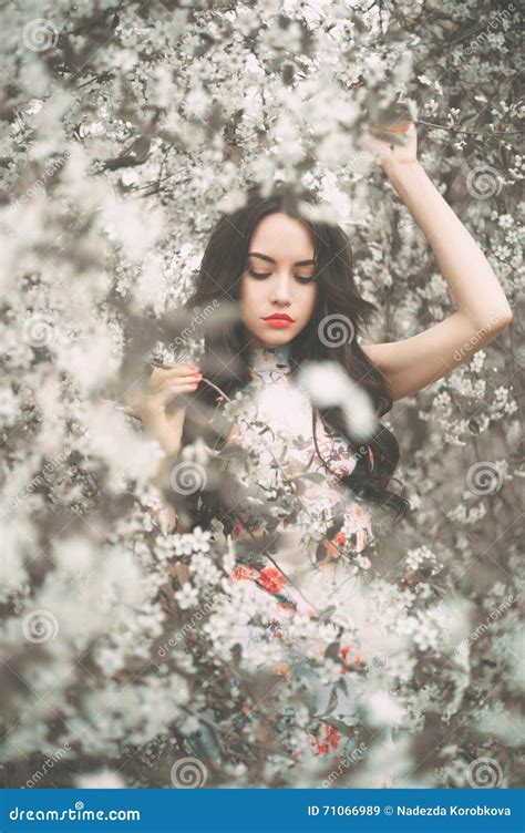 Beautiful Young Lady In The Garden Of Cherry Blossoms Stock Image
