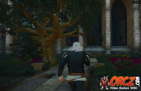 Witcher 3 Vizima Royal Castle Garden The Video Games Wiki