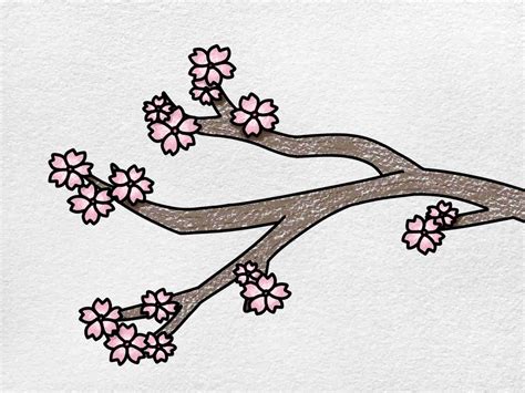 Cherry Blossoms Drawing Draw Spaces