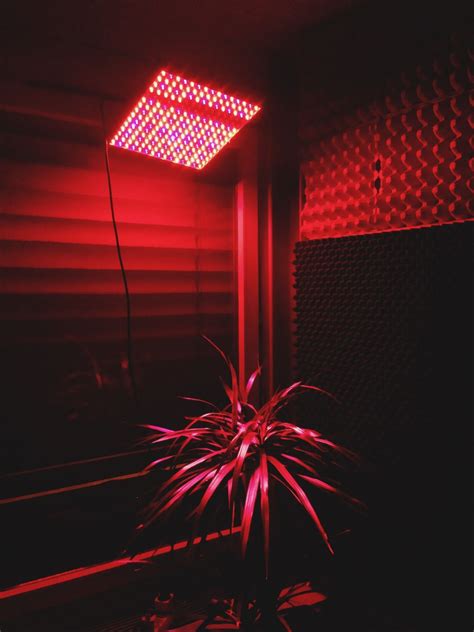 Pin By Katie On Dark Red Aesthetic Neon Aesthetic Aesthetic Colors