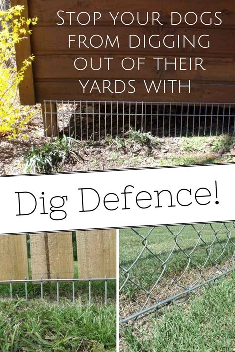 How To Keep Dogs From Digging Under The Fence In 2023