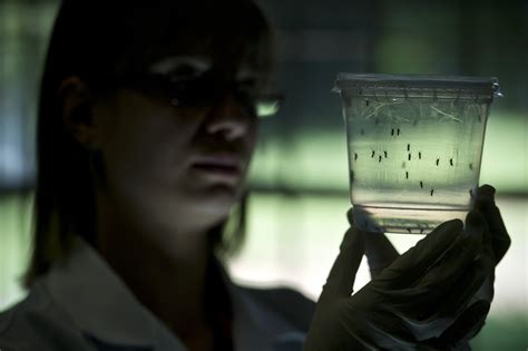 What Is Zika Virus Case Confirmed In Texas