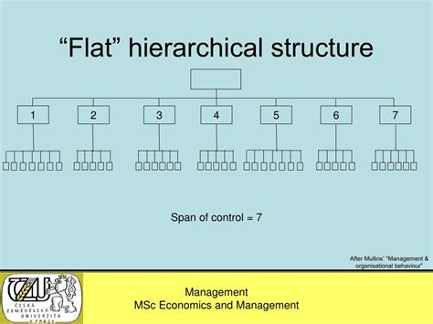 Ppt Management Wk 2 Stakeholders Hierarchies Span Of Control