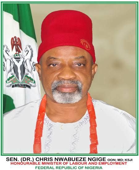 Ngige Apologises To Nass Over 774000 Jobs Face Off Thefact Daily