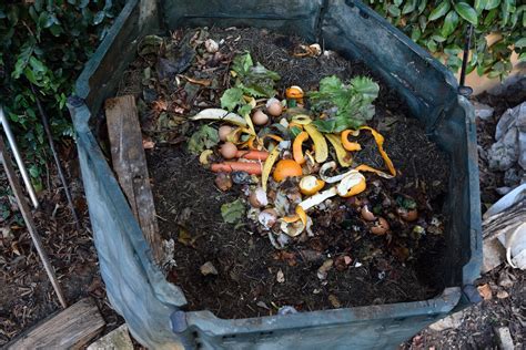 Home Composting 101 Compost Bins Ecostore Nz