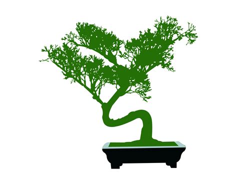 Bonsai Tree Vector Art Icons And Graphics For Free Download