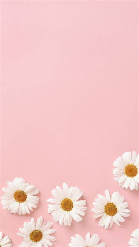 Pastel Pink Flower Wallpaper Vlrengbr