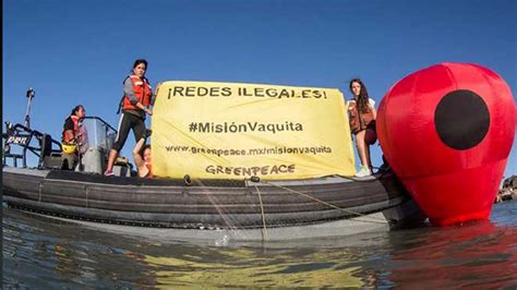 Denuncia Greenpeace Pesca Ilegal En México Abc Noticias