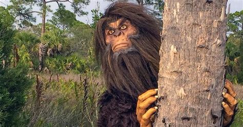 ‘catch Me If You Can Skunk Ape Challenges Players News