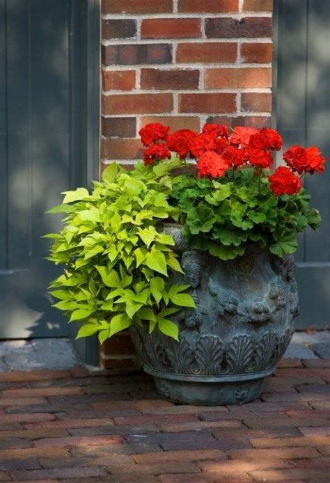 Container Gardening Whats Ur Home Story Patio Container Gardening