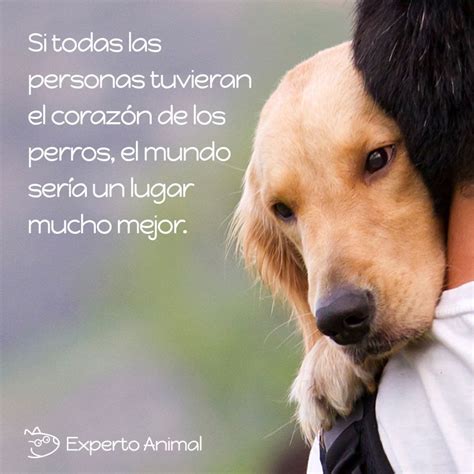 Frases Para Cuidar A Los Animales Tosma