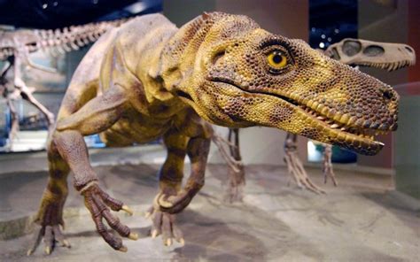 The Oldest Known Dinosaurs Herrerasaurus Staurikosaurus Eoraptor