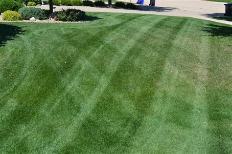 Lawn Mowing Photos Of Residential And Commercial Turf