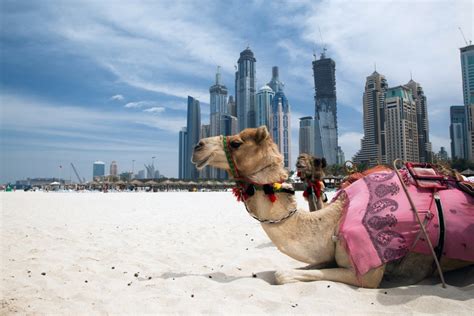Top 8 Public And Private Beaches In Dubai Skyscanner Uae