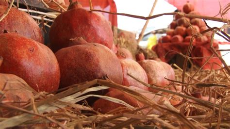 Kandahari Anar Dominates Fruit Markets In Quetta Quetta Voice
