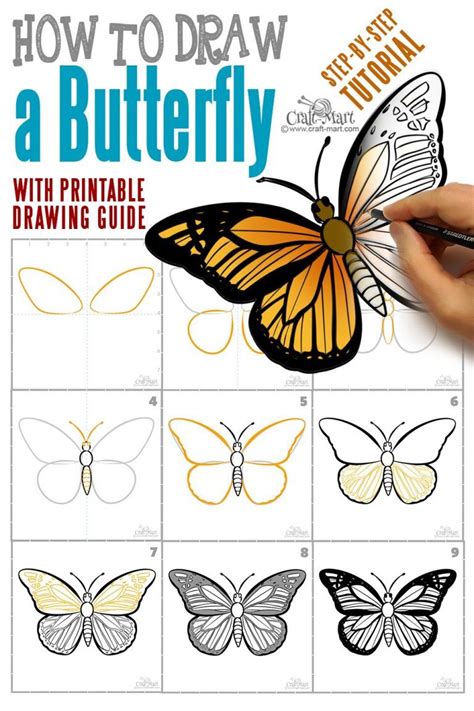 How To Draw A Butterfly Step By Step Easy Printable Guide Learn How To