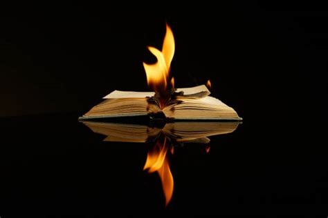 Book On Fire The Complete Collection · Adazing