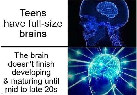 Teen Brains Imgflip