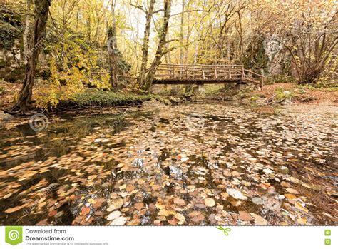 Wooden Bridge In The Forest Autumn Colorful Landscape Stock Photo