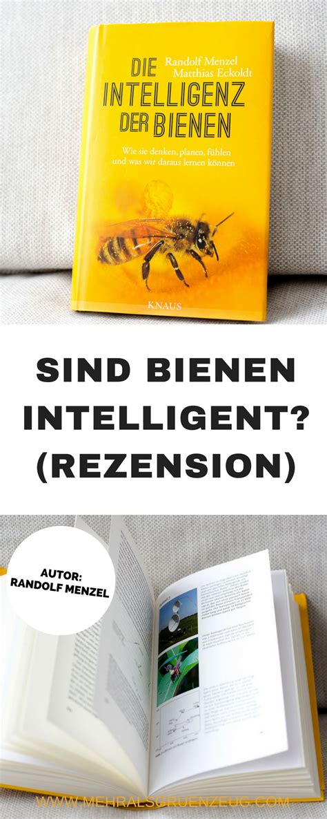 Sind Bienen intelligent? Kann man die Intelligenz der Bienen messen