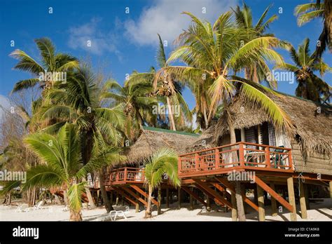 Beach Huts And Palm Trees Cook Islands Stock Photo Alamy