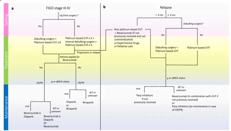 HGSOC Treatment Options According To ESMO And NCCN Recommendations In