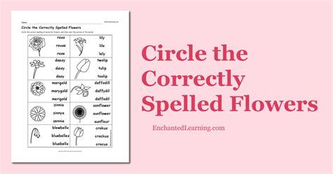 Circle The Correctly Spelled Flowers Enchanted Learning